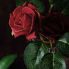 24 Roses | 2inch Red Artificial Foam Flowers With Stem Wire and Leaves