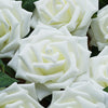 24 Roses | 5inch Ivory Artificial Foam Flowers With Stem Wire and Leaves#whtbkgd