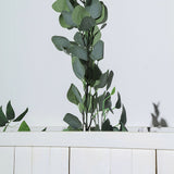 6.5ft | Frosted Green Artificial Silk Eucalyptus Leaf Garland Vine