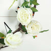 6ft | Cream Artificial Silk Peony Hanging Flower Garland, Faux Vine