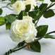 6ft | Cream Real Touch Artificial Rose & Leaf Flower Garland Vine#whtbkgd