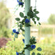 6ft | 20 Royal Blue Artificial Silk Roses Flower Garland, Hanging Vine