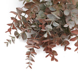 3 Pack | 13inch Frosted Green/Red Artificial Farmhouse Eucalyptus Leaf Stems