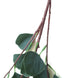 2 Bushes | 36inch Tall Artificial Eucalyptus Branches, Faux Plant Stems