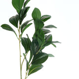 2 Stems | 26inch Green Artificial Lemon Leaf Branches Faux Greenery Plant#whtbkgd