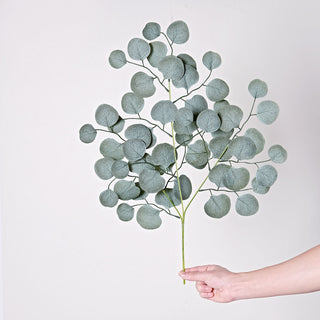 Bring Nature to Your Space with Frosted Green Artificial Silk Eucalyptus Leaf Branches