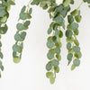 3 Pack | 41inch Green Real Touch Hanging Silk Silver Dollar Leaf Plant Stems
