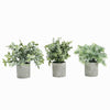 9inch Mini Potted Artificial Eucalyptus, Rosemary & Boxwood Faux Planter Collection#whtbkgd