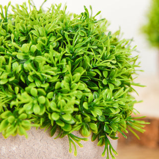 Enhance Your Event Decor with the 5" Mini Potted Artificial Boxwood Topiary Faux Planter Collection