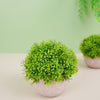 2 Plant Set | 5inch Mini Potted Artificial Boxwood Topiary Faux Planter Collection
