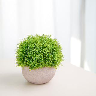 Add Natural Greenery to Your Space with the 5" Mini Potted Artificial Boxwood Topiary Faux Planter Collection