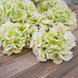 10 Flower Head & Stems | Lime/Pink Artificial Satin Hydrangeas, DIY Arrangement