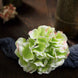 10 Flower Head & Stems | Lime/Pink Artificial Satin Hydrangeas, DIY Arrangement#whtbkgd
