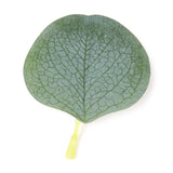 Frosted Green Artificial Greenery Eucalyptus Leaves, Cake Decorations, Table Scatters#whtbkgd