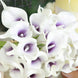 20 Stems | 14inch White/Purple Artificial Poly Foam Calla Lily Flowers#whtbkgd