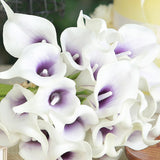 20 Stems | 14inch White/Purple Artificial Poly Foam Calla Lily Flowers#whtbkgd