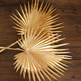 2 Pack | 34inch Metallic Gold Artificial Fan Palm Leaf Stems