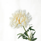 3 Stems | Ivory 27inch Artificial Silk Chrysanthemum Bouquet Flowers