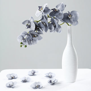 Versatile and Beautiful Orchid Decor for Every Occasion