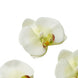 20 Flower Heads | 4inch Cream Artificial Silk Orchids DIY Crafts