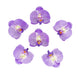 20 Flower Heads | 4inch Lavender Artificial Silk Orchids DIY Crafts