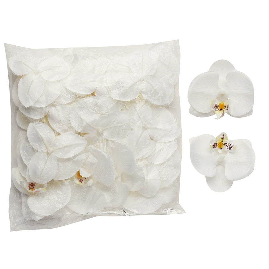 20 Flower Heads | 4inch White Artificial Silk Orchids DIY Crafts