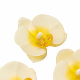 20 Flower Heads | 4inch Yellow Artificial Silk Orchids DIY Crafts