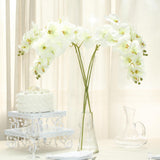 2 Stems | 40inch Tall Cream Artificial Silk Orchid Flower Bouquets