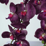 2 Stems | 40inch Tall Eggplant Artificial Silk Orchid Flower Bouquets