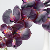 2 Stems | 40inch Tall Eggplant Artificial Silk Orchid Flower Bouquets#whtbkgd