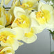2 Stems | 40inch Tall White/Yellow Artificial Silk Orchid Flower Bouquets#whtbkgd