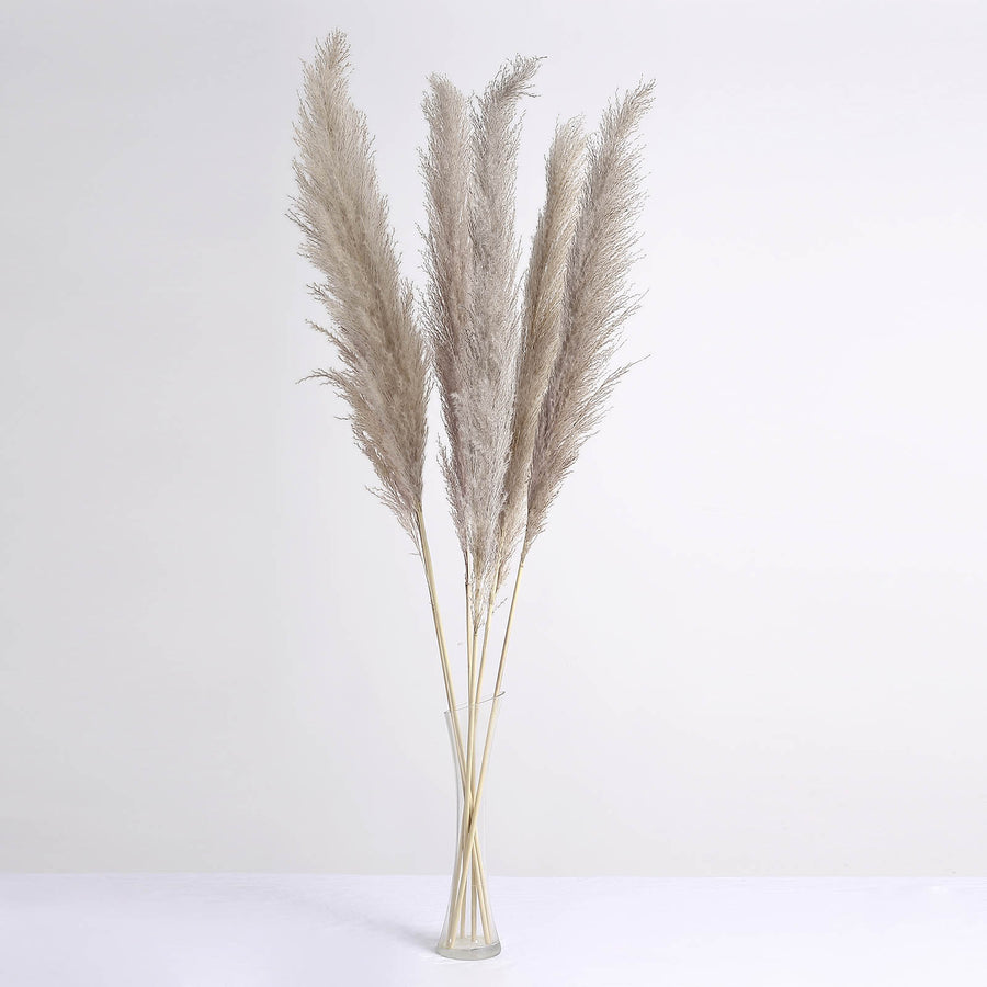 6 Stems | 49inch Natural Tint Dried Natural Pampas Grass Plant Sprays#whtbkgd