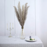 6 Stems | 49inch Natural Tint Dried Natural Pampas Grass Plant Sprays