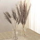 6 Stems | 49inch Natural Tint Dried Natural Pampas Grass Plant Sprays