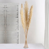 6 Stems | 49inch Wheat Tint Dried Natural Pampas Grass Plant Sprays