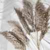 6 Stems | 32inch Natural Tint Dried Natural Pampas Grass Plant Sprays