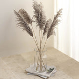 6 Stems | 32inch Natural Tint Dried Natural Pampas Grass Plant Sprays