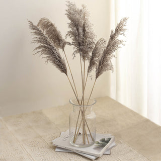 Add a Touch of Natural Elegance with 32" Natural Tint Dried Pampas Grass