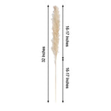 6 Stems | 32inch Wheat Tint Dried Natural Pampas Grass Plant Sprays