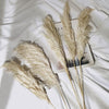 6 Stems | 32inch Wheat Tint Dried Natural Pampas Grass Plant Sprays