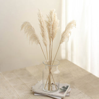 Add a Touch of Natural Elegance with 32" Wheat Tint Dried Natural Pampas Grass Plant Sprays