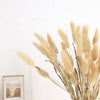 50 Pack | 15inch Natural Rabbit Tail Dried Pampas Grass Stem Bouquets