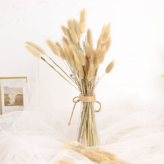 50 Pack | 15" Natural Rabbit Tail Dried Pampas Grass Stem Bouquets