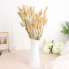 50 Pack | 15inch Natural Rabbit Tail Dried Pampas Grass Stem Bouquets