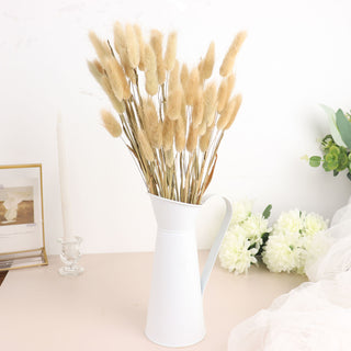 Create a Natural and Bohemian Atmosphere with Natural Pampas Grass Stems