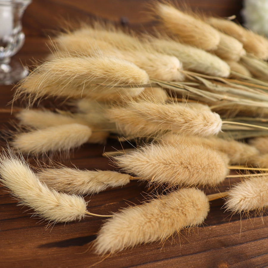 50 Pack | 15inch Natural Rabbit Tail Dried Pampas Grass Stem Bouquets#whtbkgd