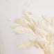 50 Pack | 15inch Natural White Rabbit Tail Dried Pampas Grass Stem Bouquets