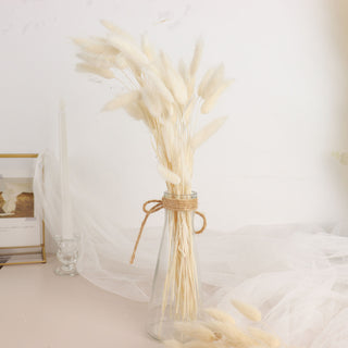 Elegant and Whimsical: 15" Natural White Rabbit Tail Dried Pampas Grass Stem Bouquets