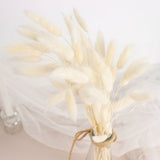 50 Pack | 15inch Natural White Rabbit Tail Dried Pampas Grass Stem Bouquets