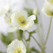 2 Stems | 33Inch Ivory Artificial Silk Poppy Flower Bouquet Bushes